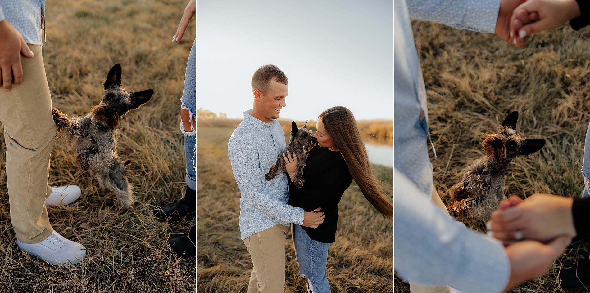 dog at owner's feet wanting picked up during Candid and Fun Engagement Session